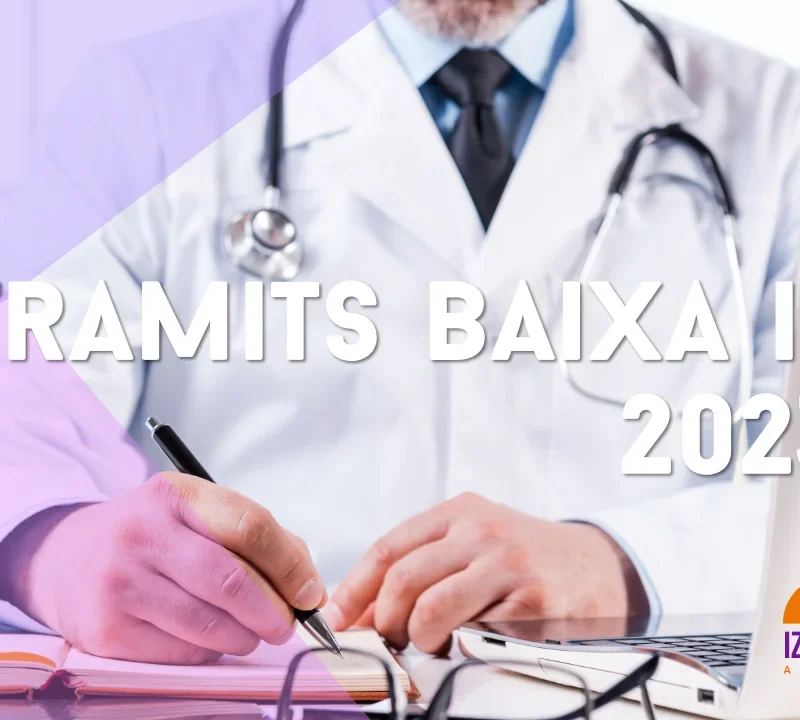 TRAMITS BAIXA IT - IZQUIERDO I TUGAS ASSOCIATS - Gestoria Izquierdo 2023