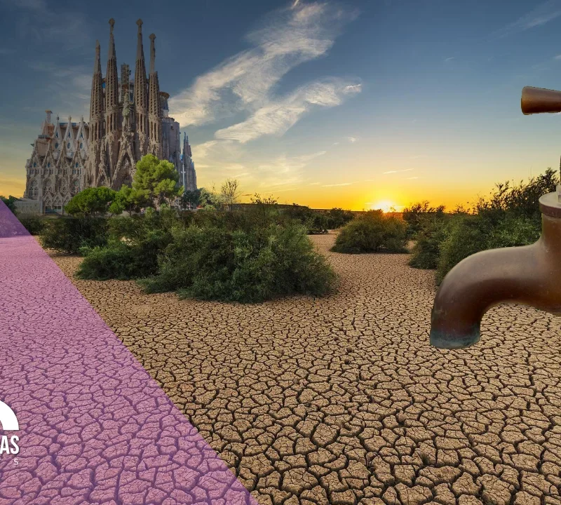 Decret Sequera - Izquierdo i Tugas Associats - Gestoria Izquierdo 2023